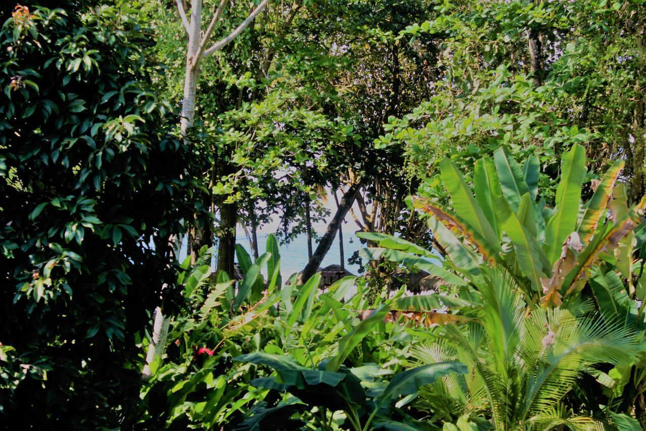 Hotel Casa Natural Puerto Viejo Puerto Viejo de Talamanca Zewnętrze zdjęcie
