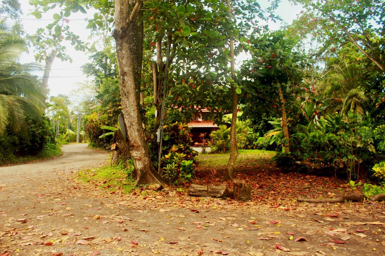 Hotel Casa Natural Puerto Viejo Puerto Viejo de Talamanca Zewnętrze zdjęcie